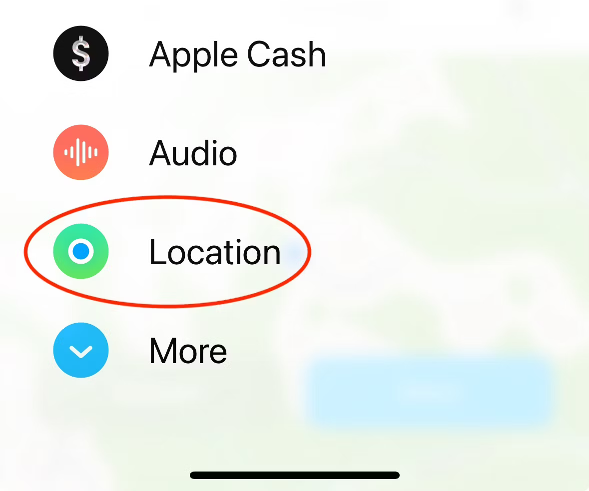 iMessage options menu with 'Location' circled.