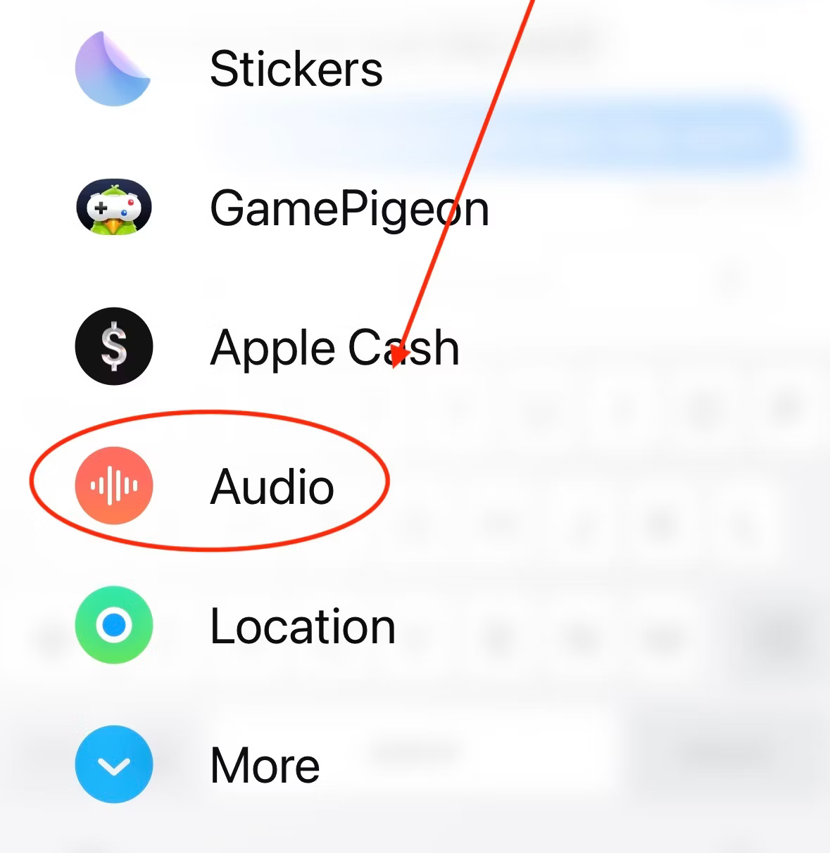 iMessage options with 'Audio' button circled.