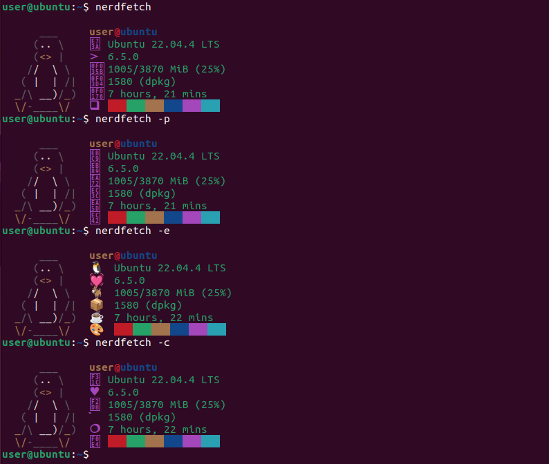 Linux terminal showing system information in three different modes by using nerdfetch with flags