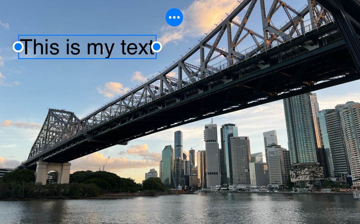 Edit the text box in Markup to add your text.