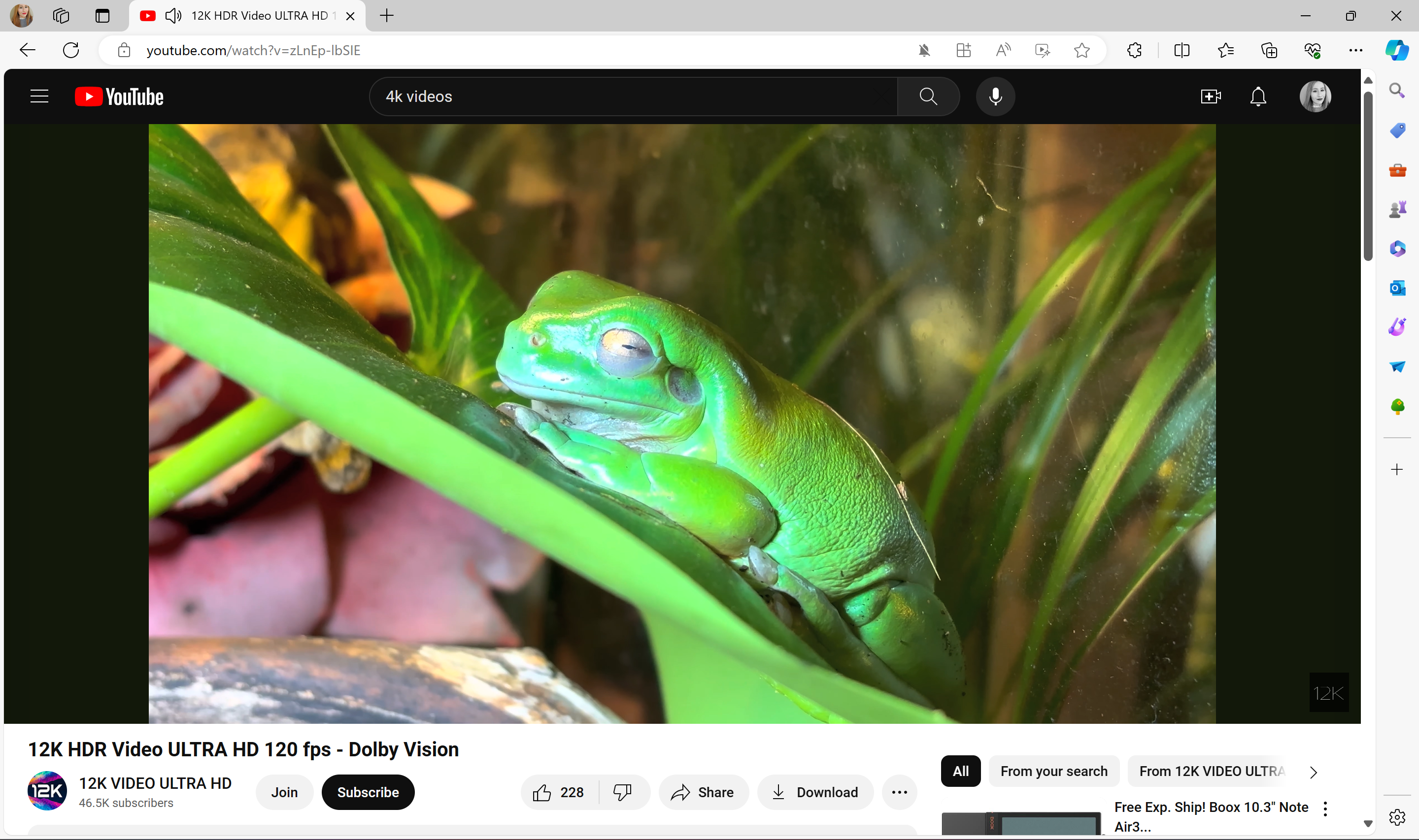 A screenshot of a YouTube video showing a green frog.