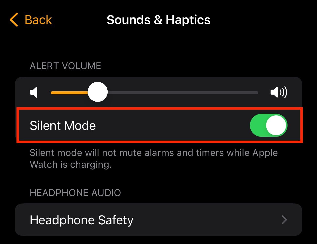 Turning on Silent Mode in the Watch app on an iPhone.