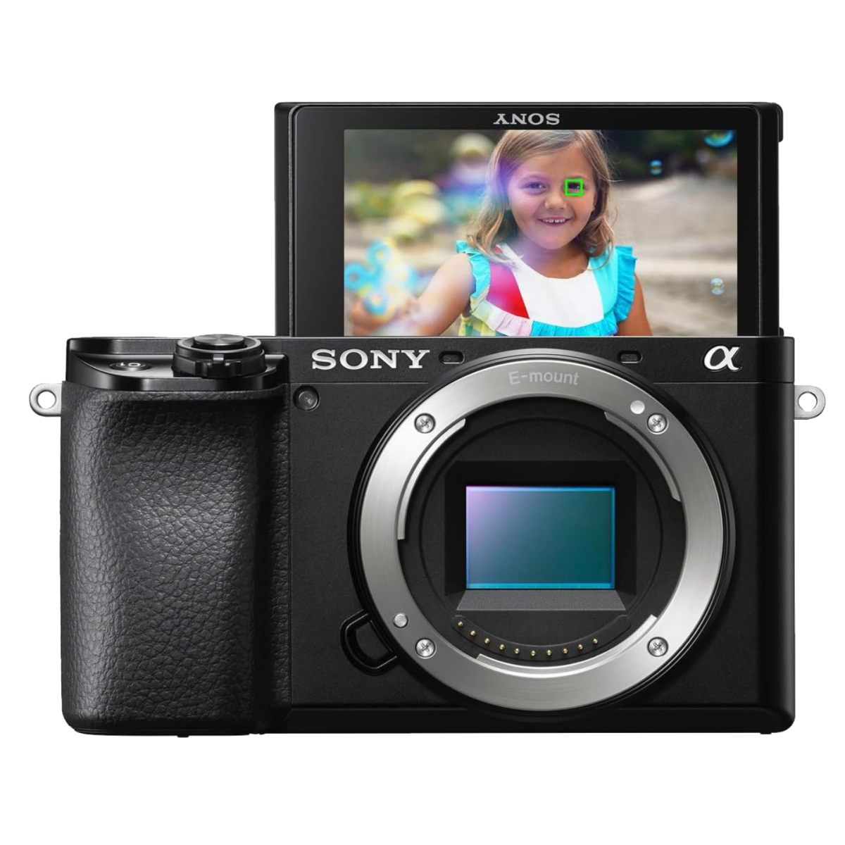 Sony a6100-1