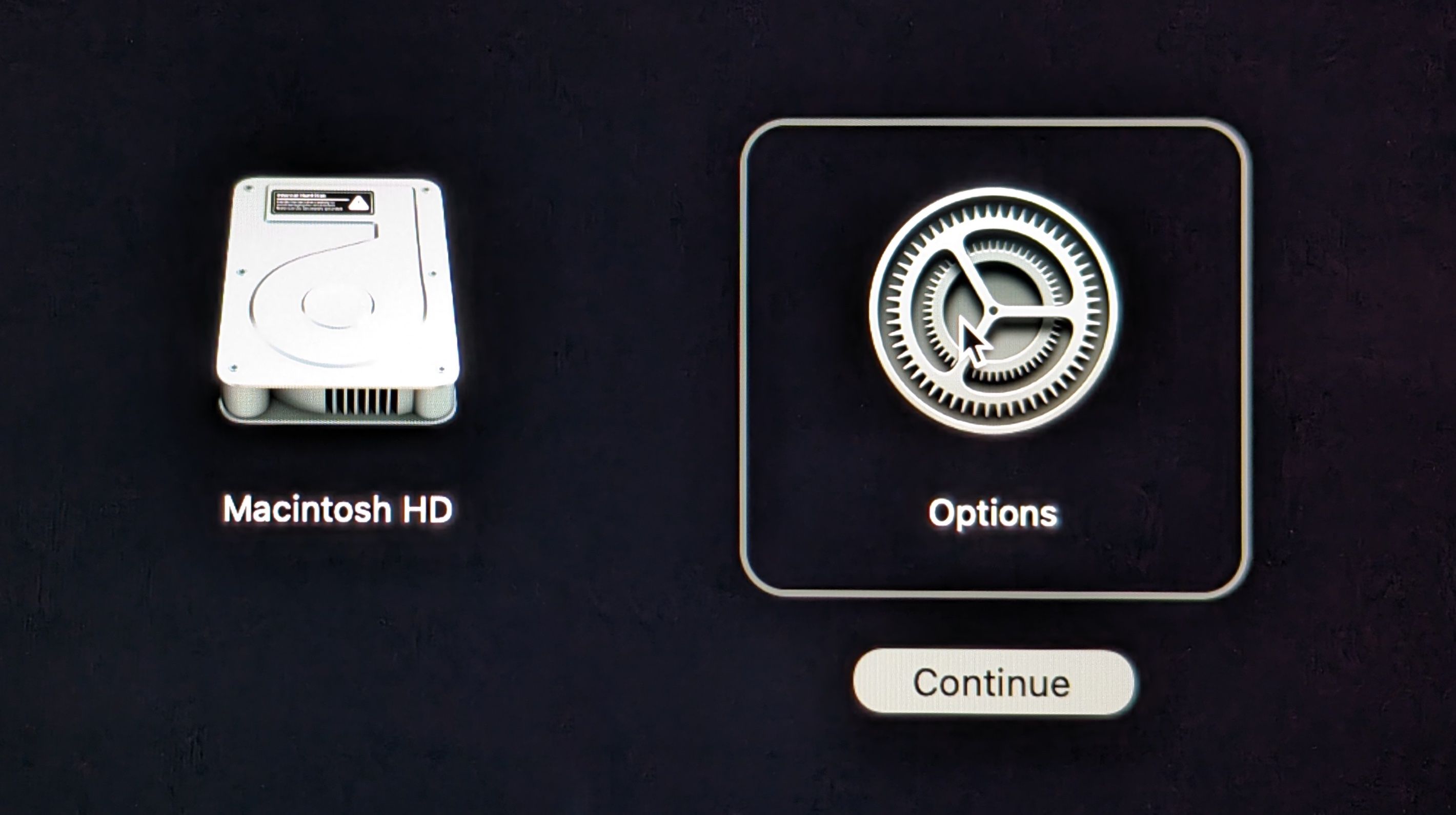 The Options screen when booting into Recovery on macOS.