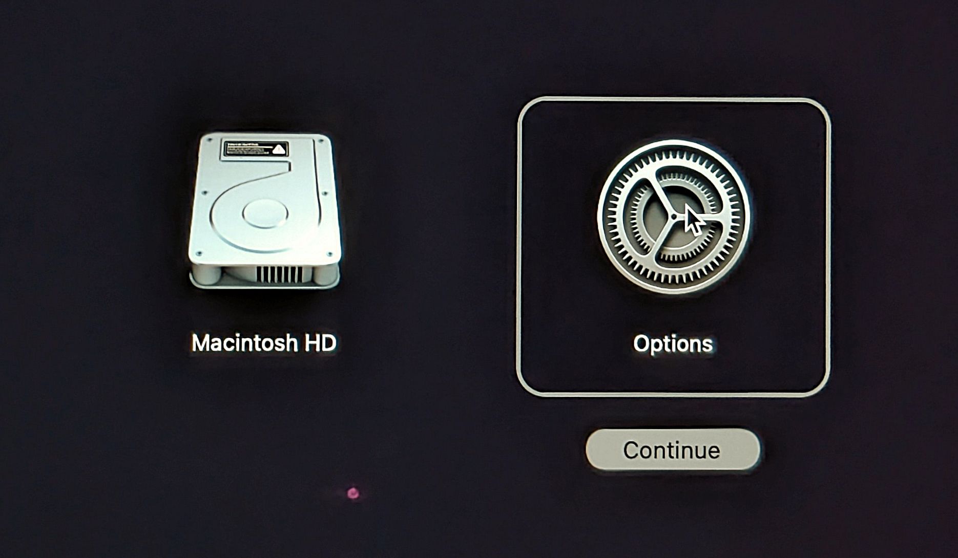 The Options screen when you launch Recovery mode on macOS.