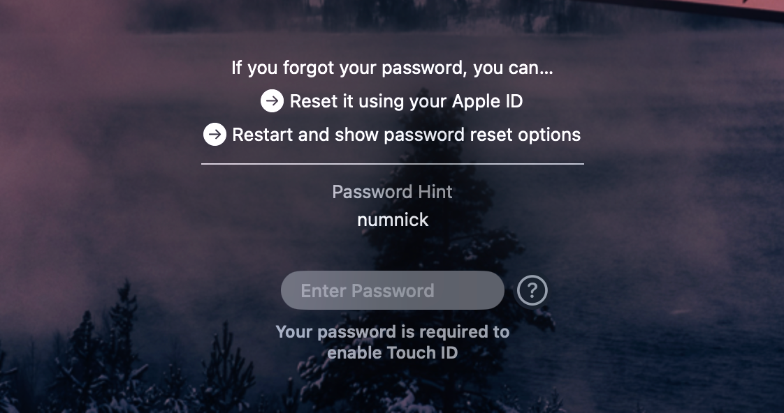 The password reset options on the macOS lock screen.