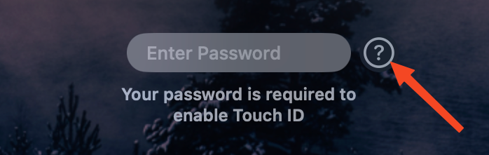 The question mark icon that shows your password hint.
