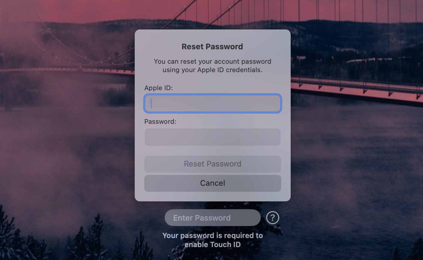 The reset password box on the macOS lock screen.