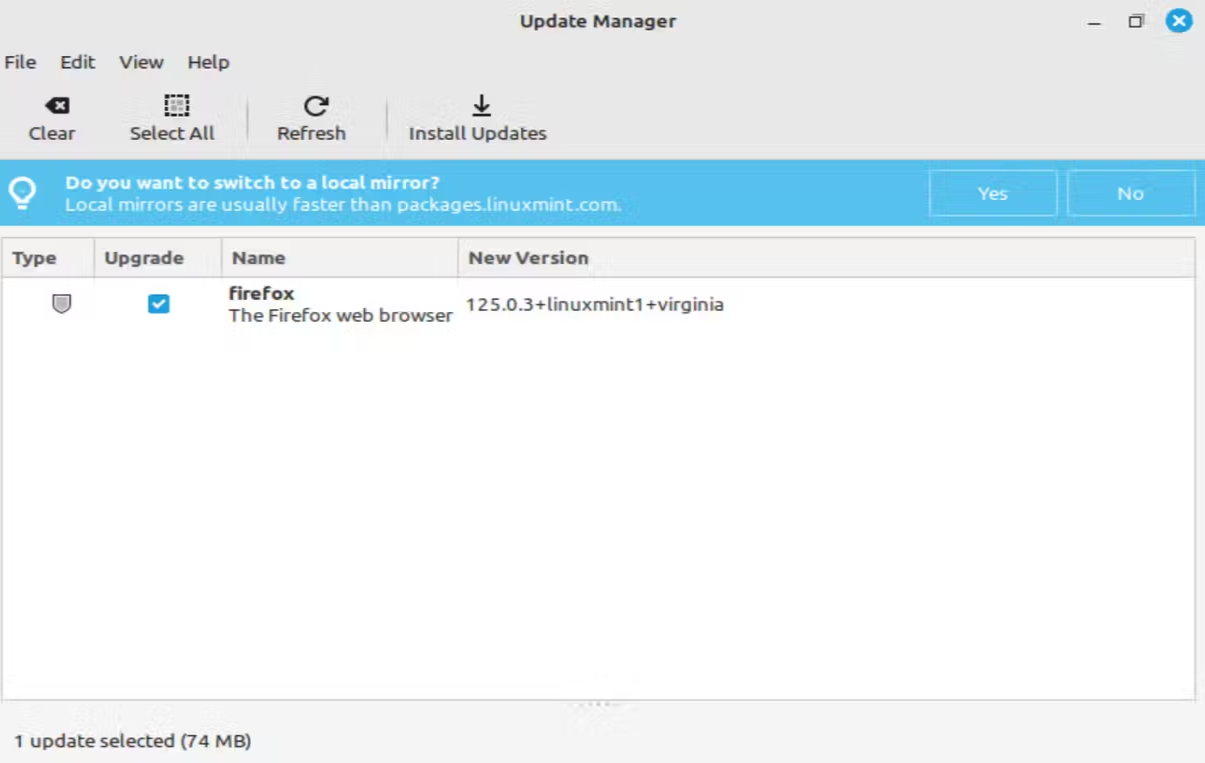 An example of the Update Manager user interface on Linux Mint for updating installed software