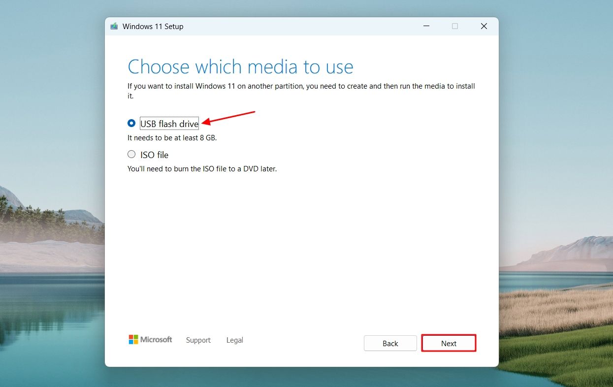 USB Flash Drive option in the Windows 11 Setup window.
