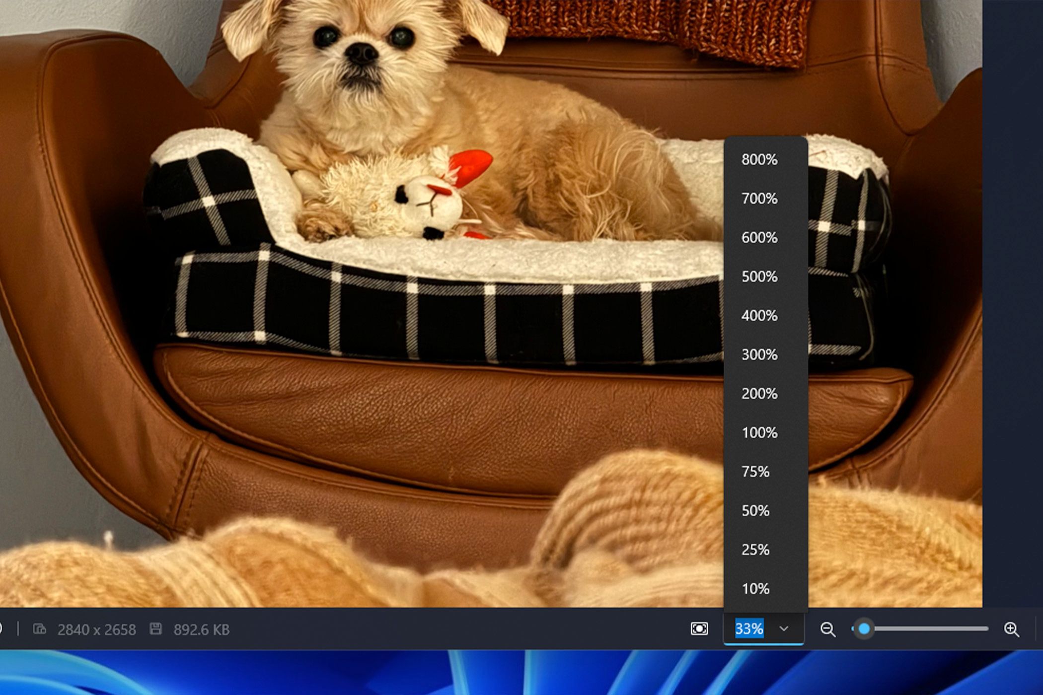Photo metadata and a zoom slider in the Windows 11 Photos app.