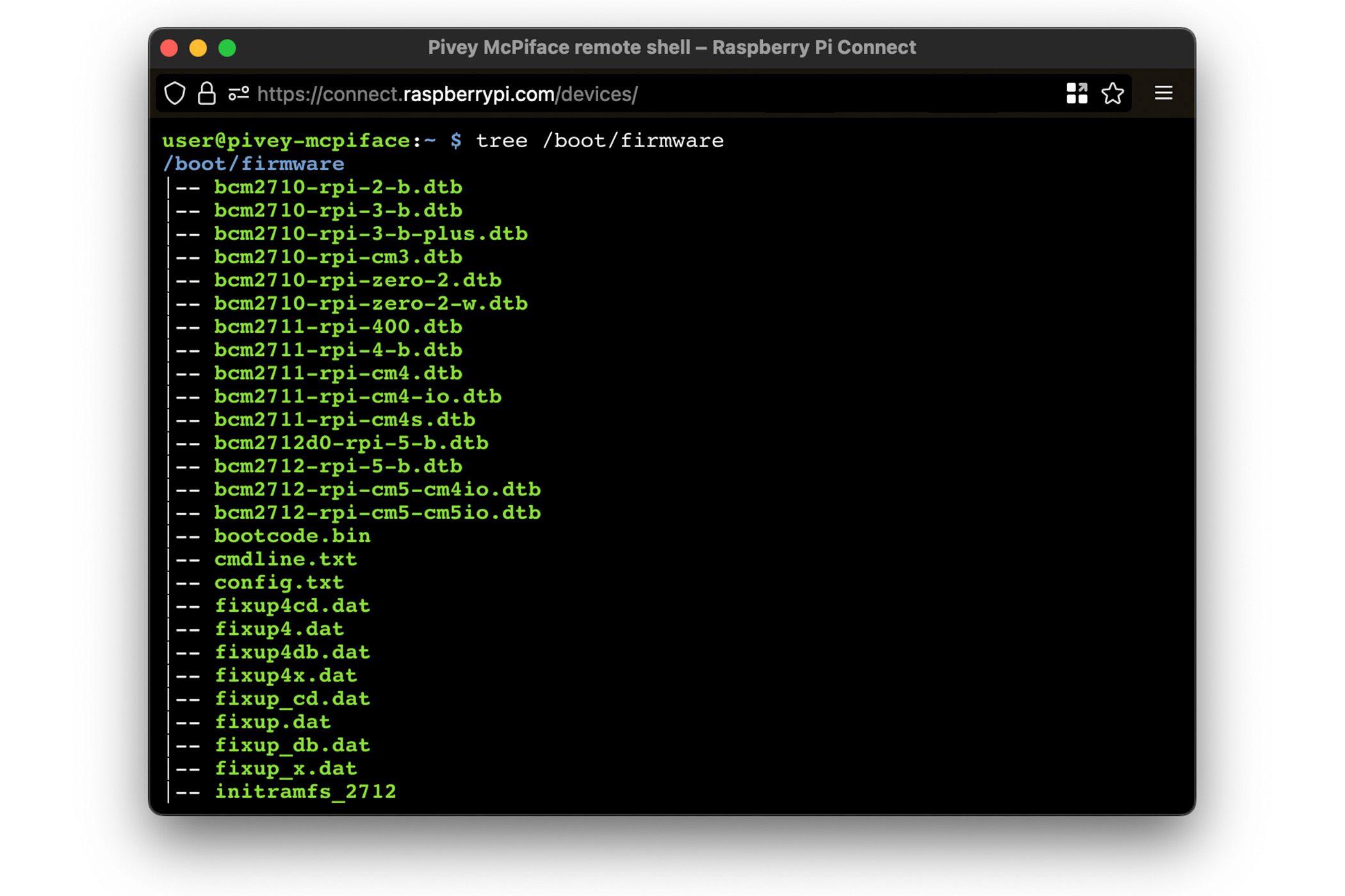 Remote shell access through Raspberry Pi Connect.