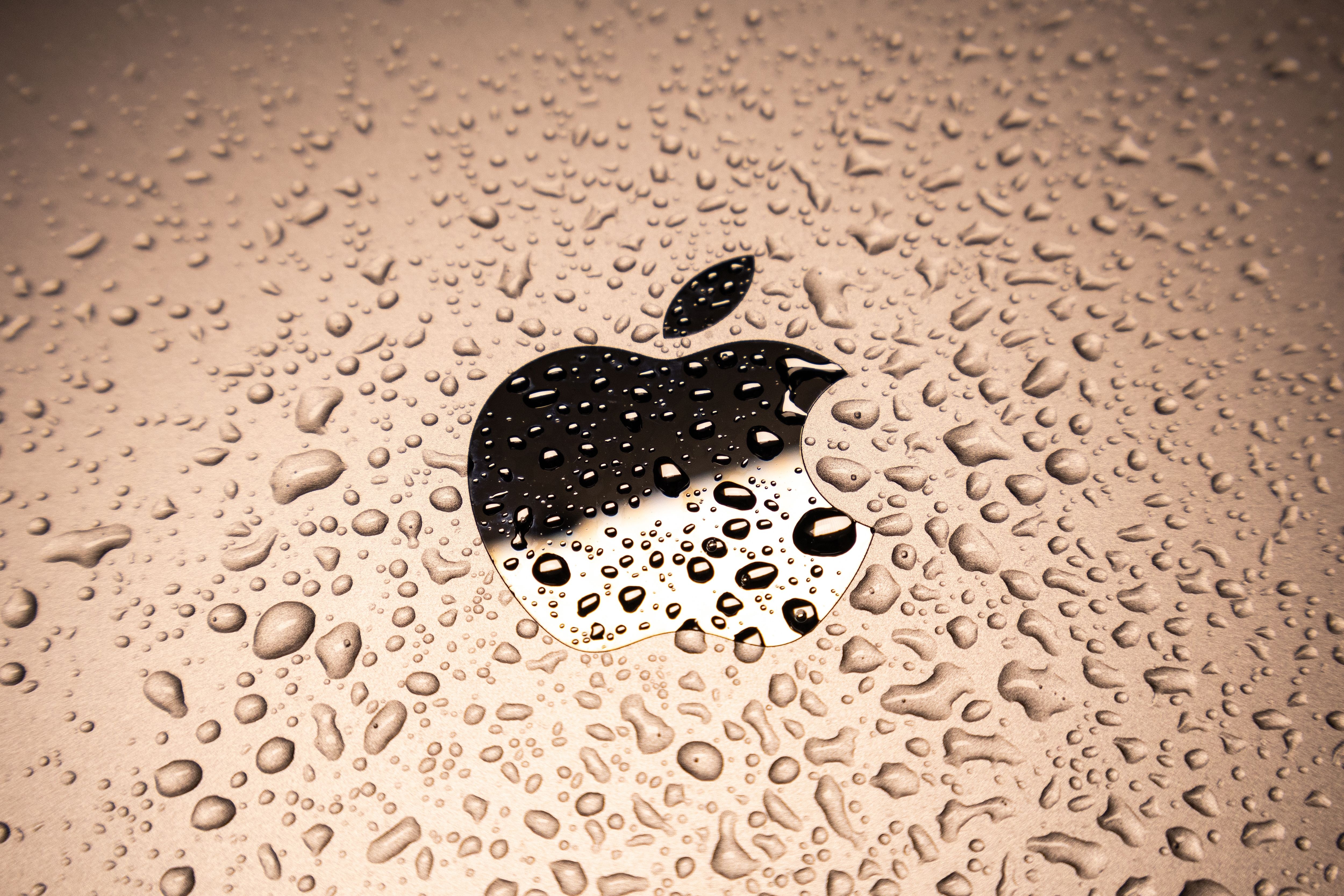 Can I Use My iPhone in the Rain Without Damage?