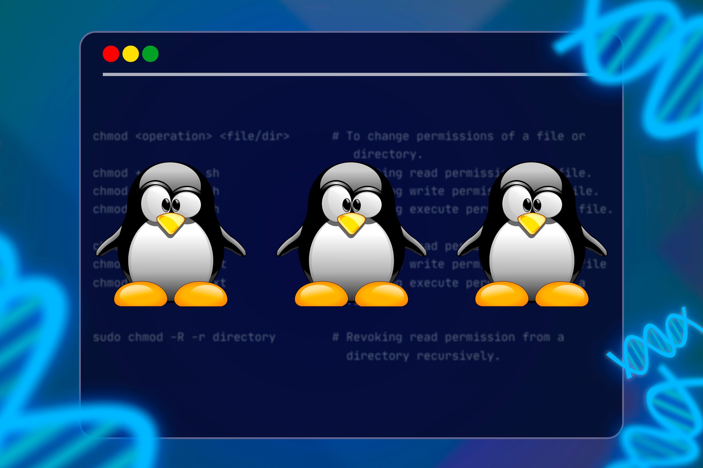 1. Master the 'Linux Clone Command' - No More Permission Struggles!