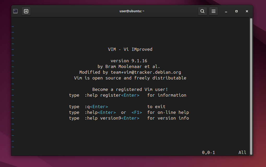 A terminal window with the Vim text editor open