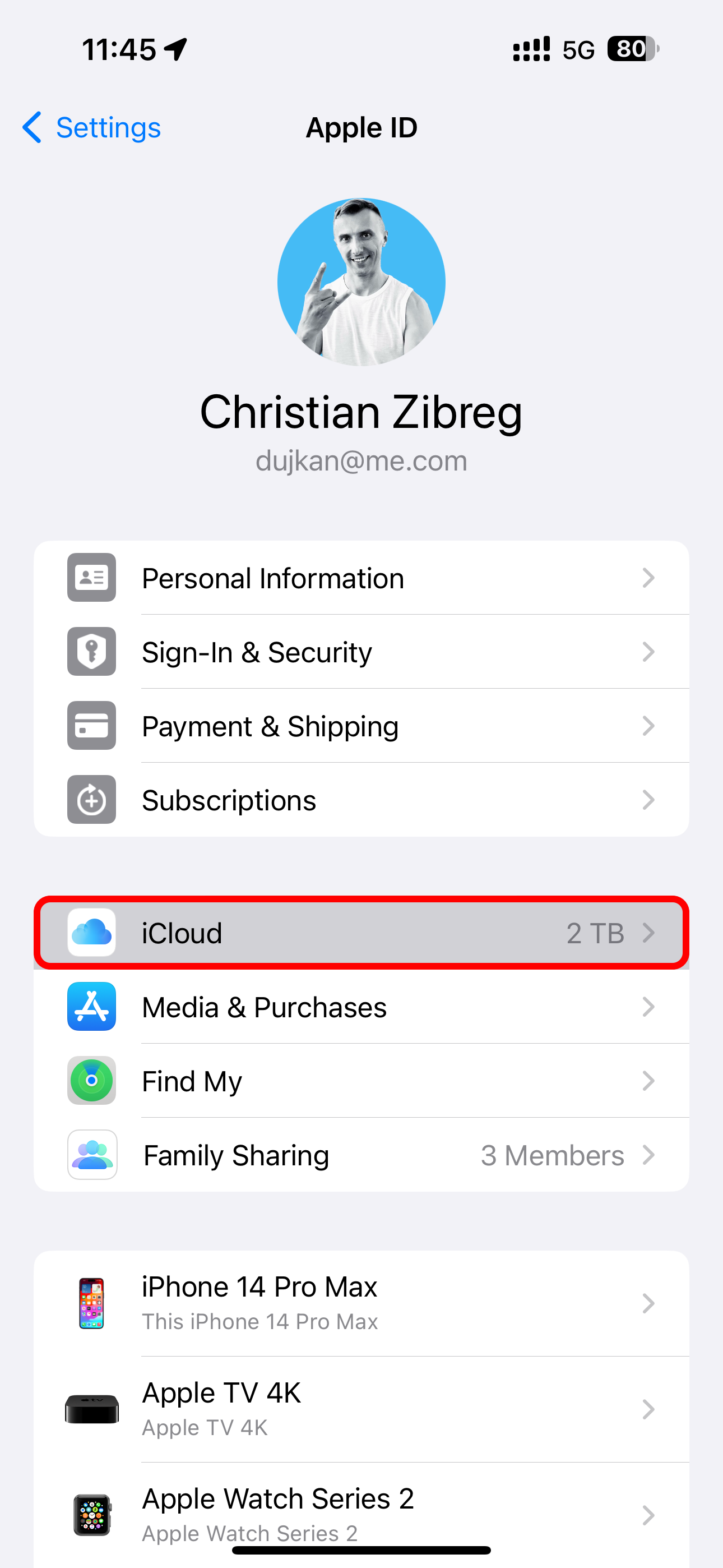The Settings app on iPhone with the iCloud option highlighted.