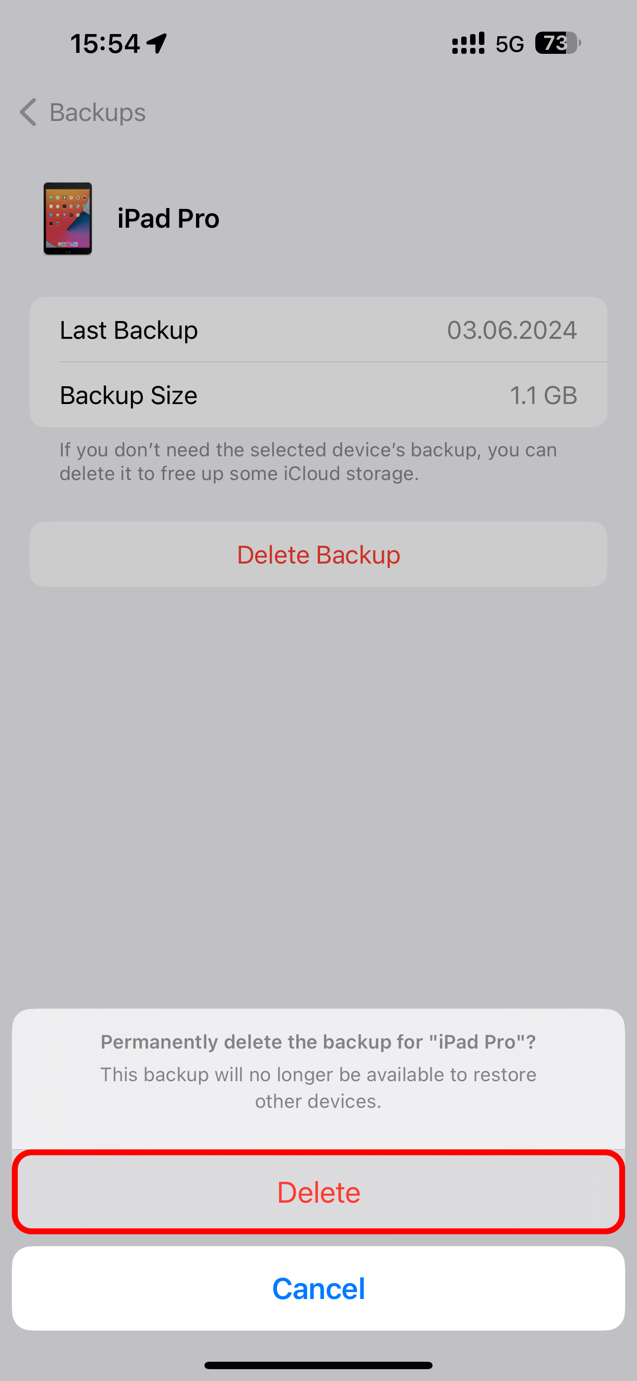 Confirming deleting iCloud backup for iPad Pro in the iPhone's Settings app.