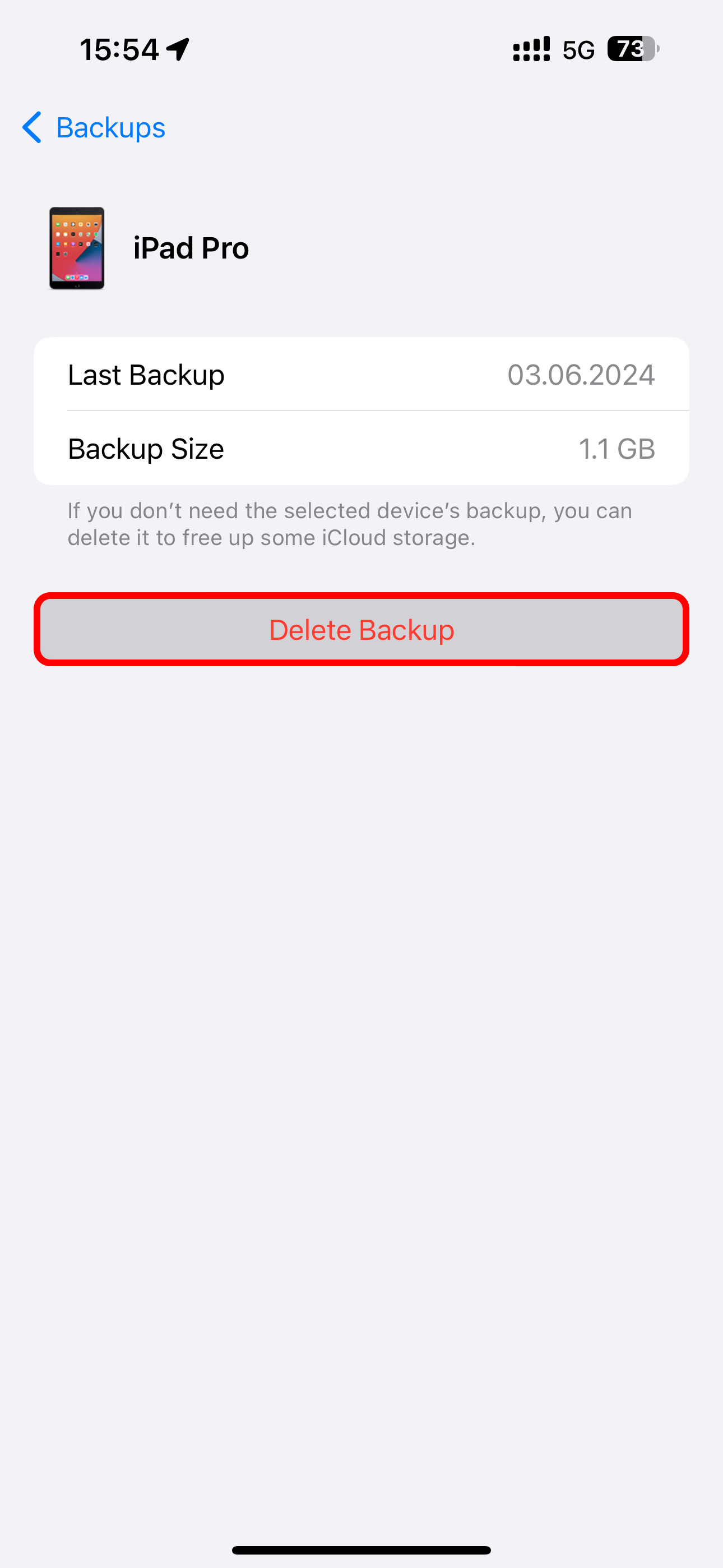 The Delete Backup option selected in Settings on iPhone.