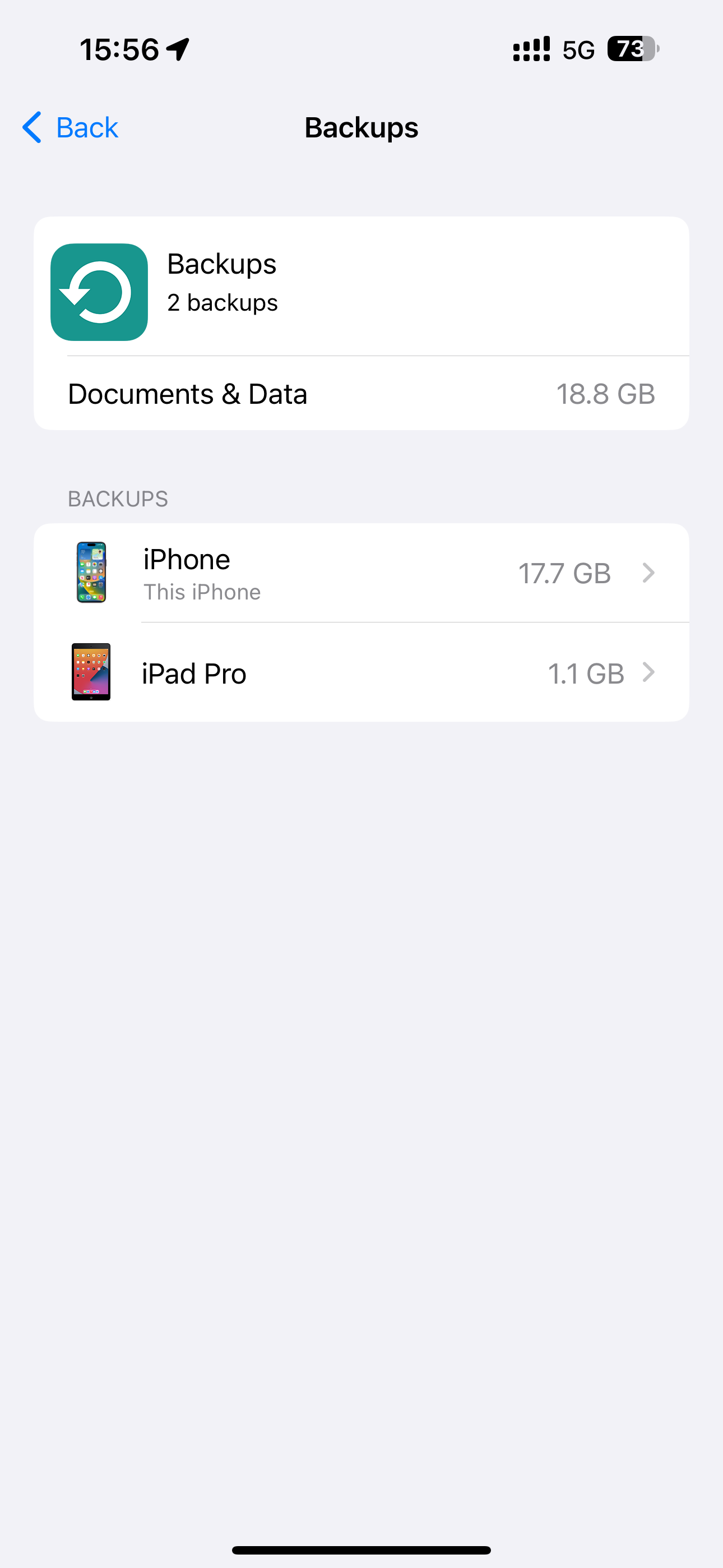 Viewing iCloud device backups in the iPhone's Settings app.
