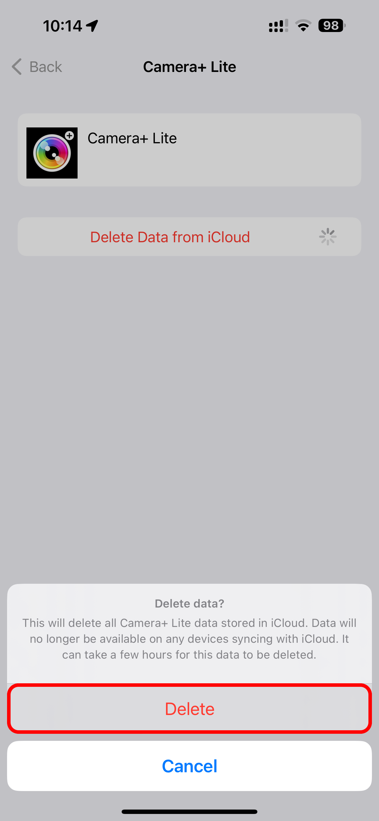 Confirming deleting data from iCloud for the Camera+ Lite app in Settings on iPhone.