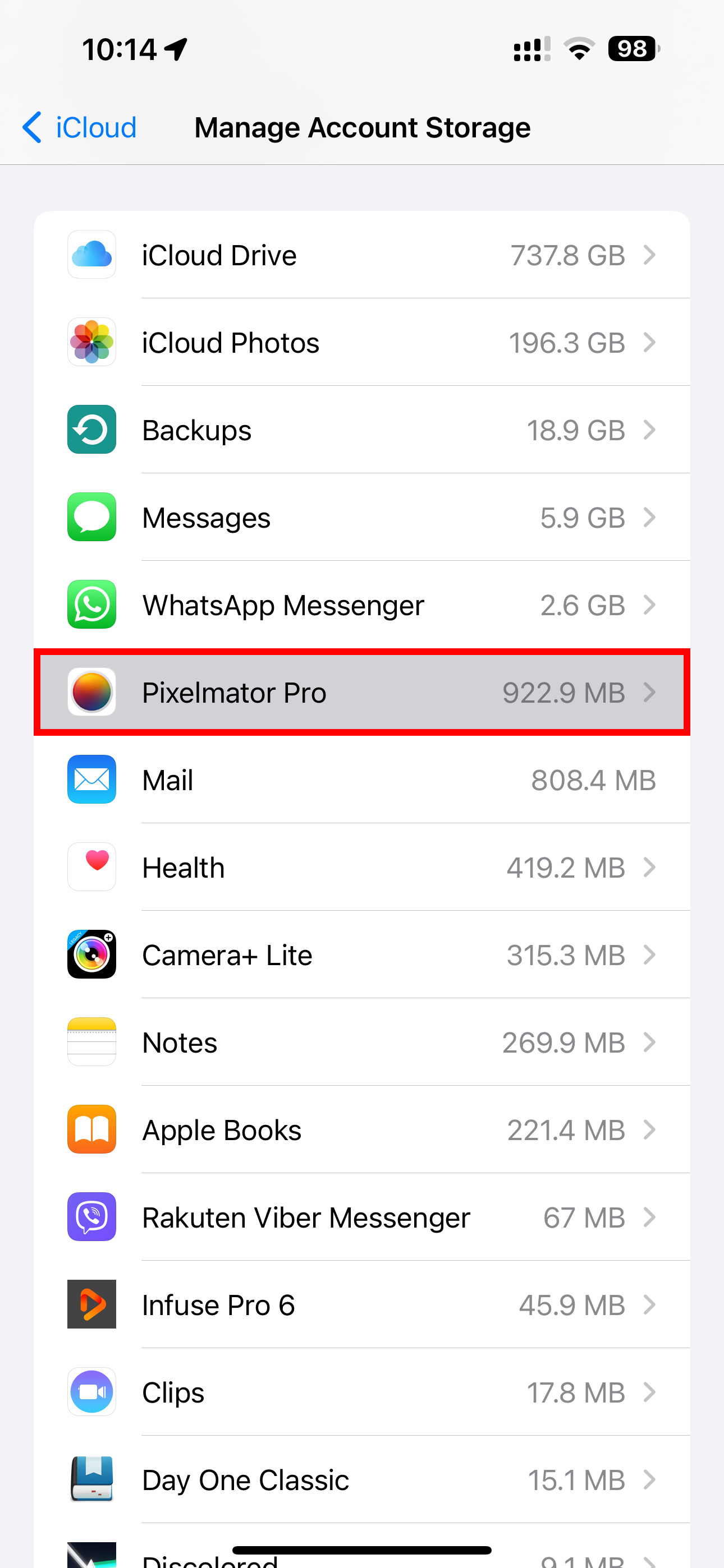 The Pixelmator Pro app selected on the iCloud storage screen in Settings on iPhone.