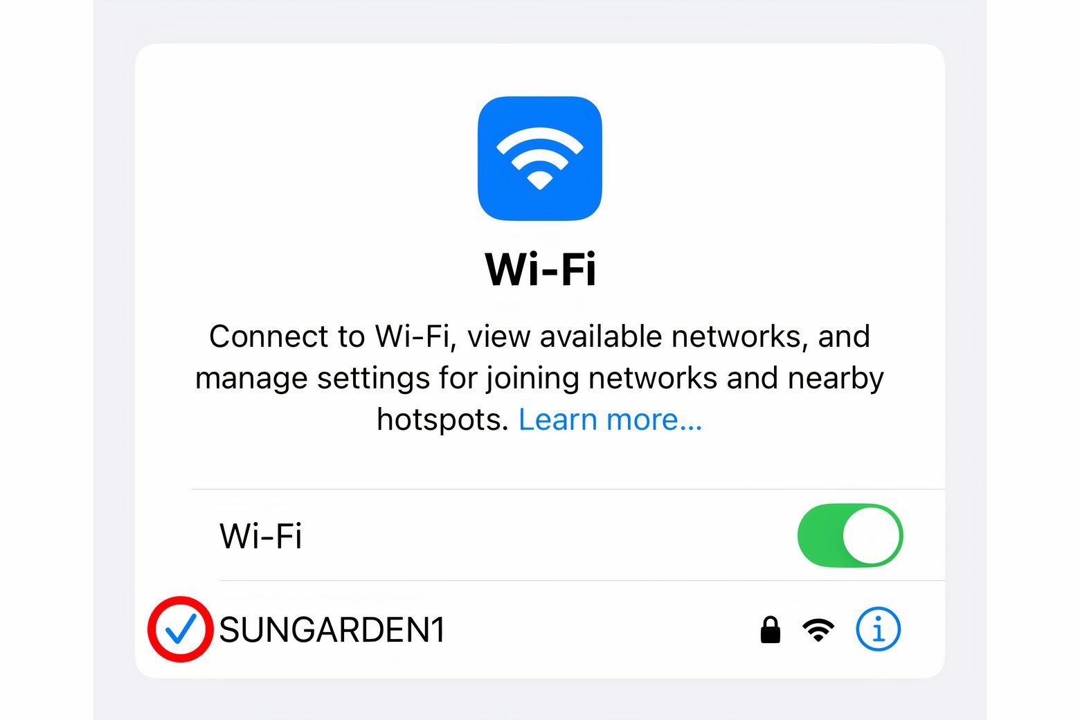 The iPhone&rsquo;s Settings app with the blue checkmark highlighted next to the connected Wi-Fi network.
