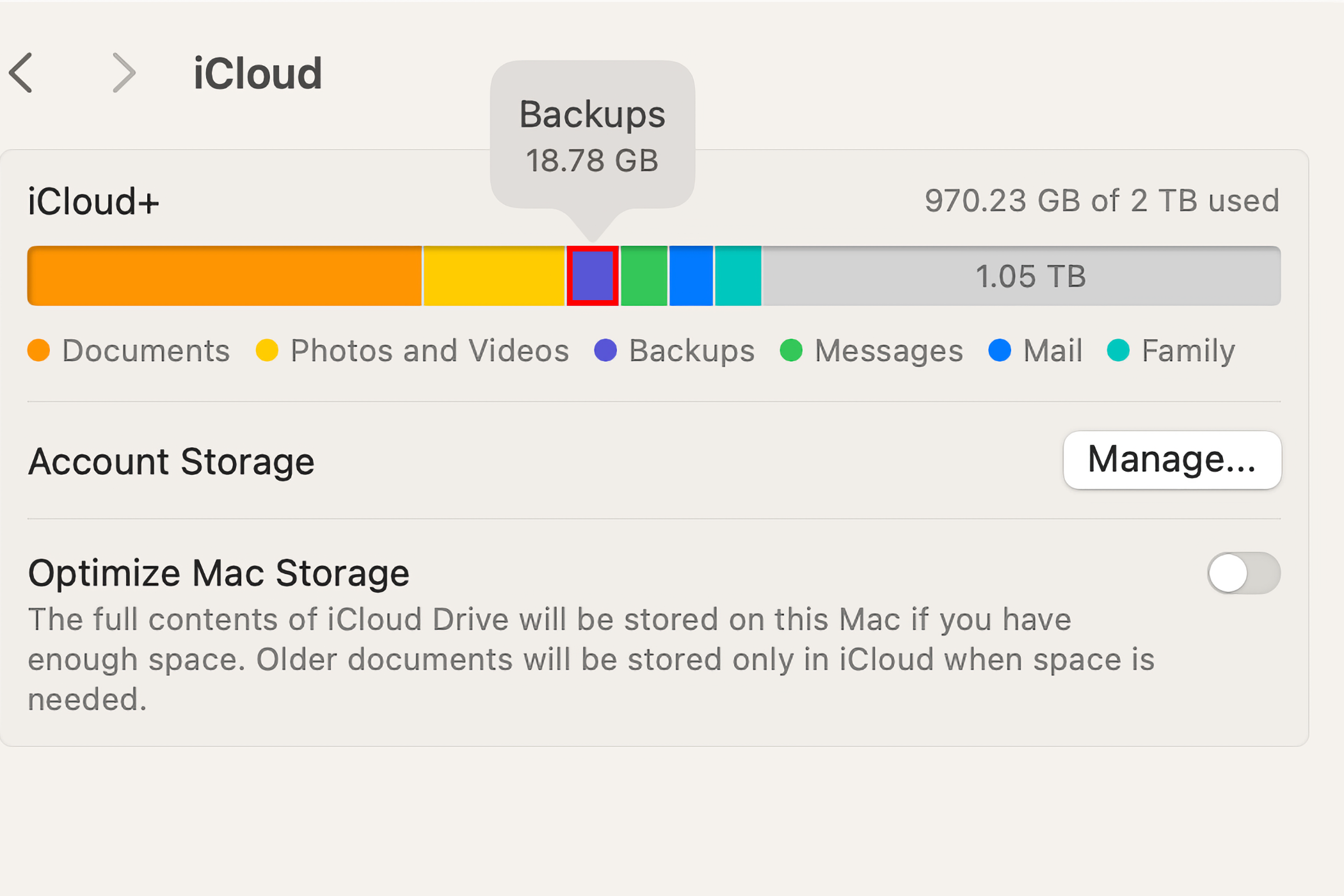 An iCloud storage graph closeup in System Settings on a Mac.