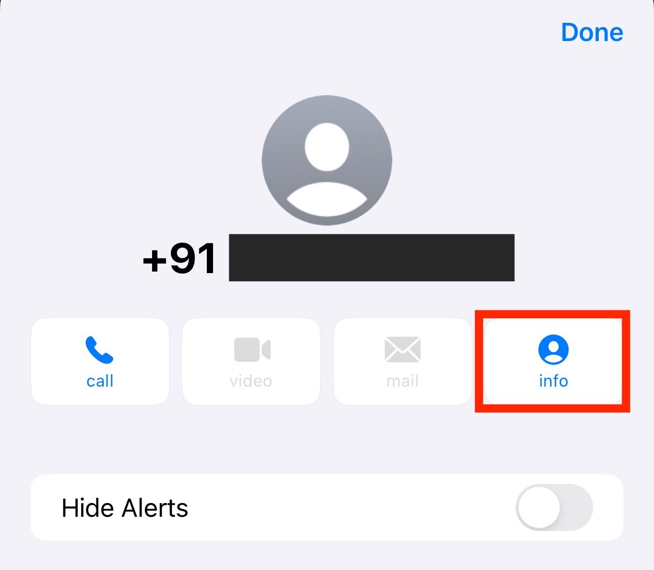 Info button on the profile of a contact in the Messages app.