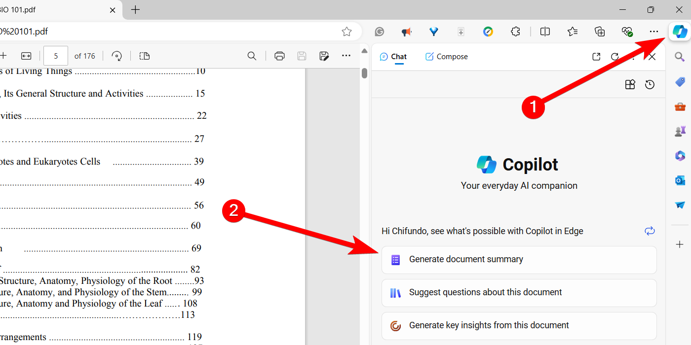 Generating a document summary with Copilot in Microsoft Edge.