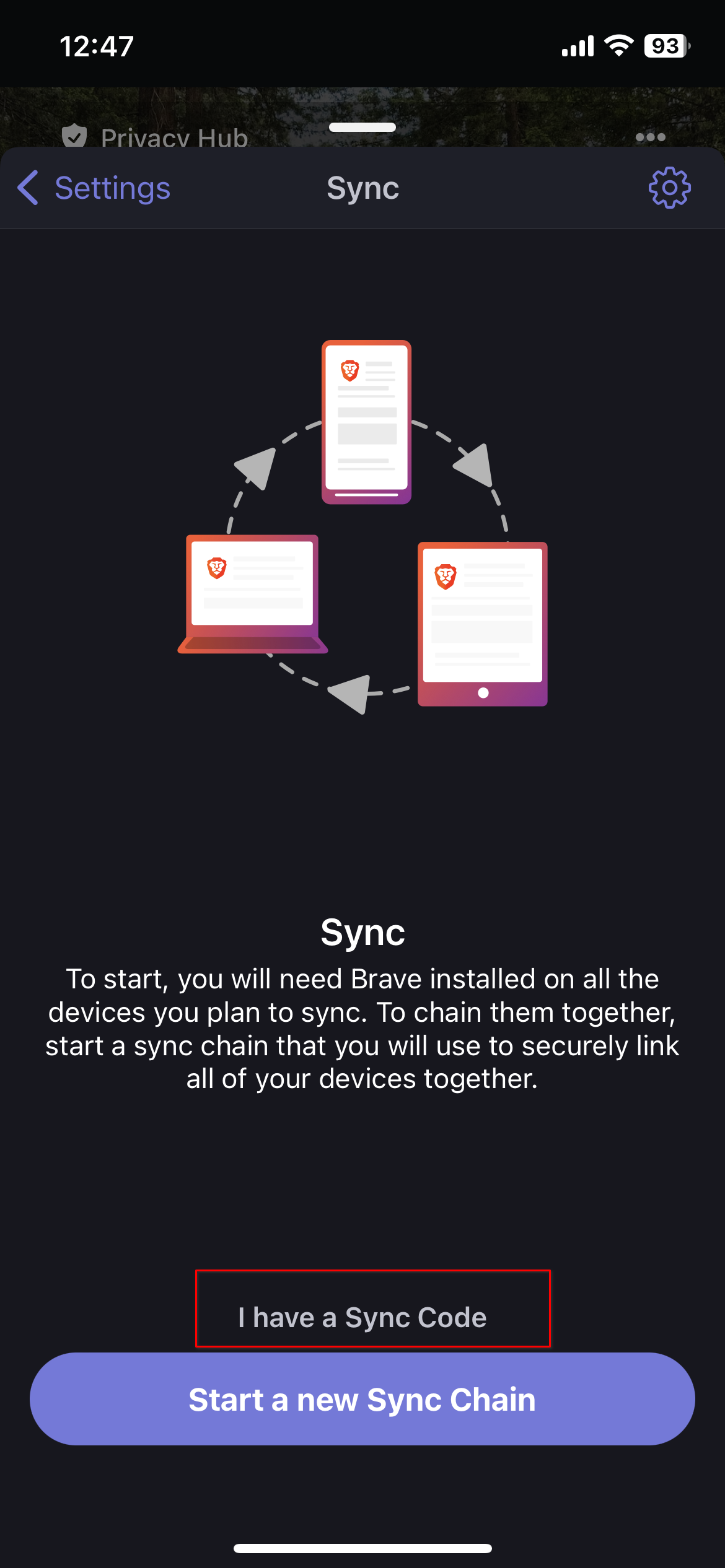 Starting Brave sync iOS.