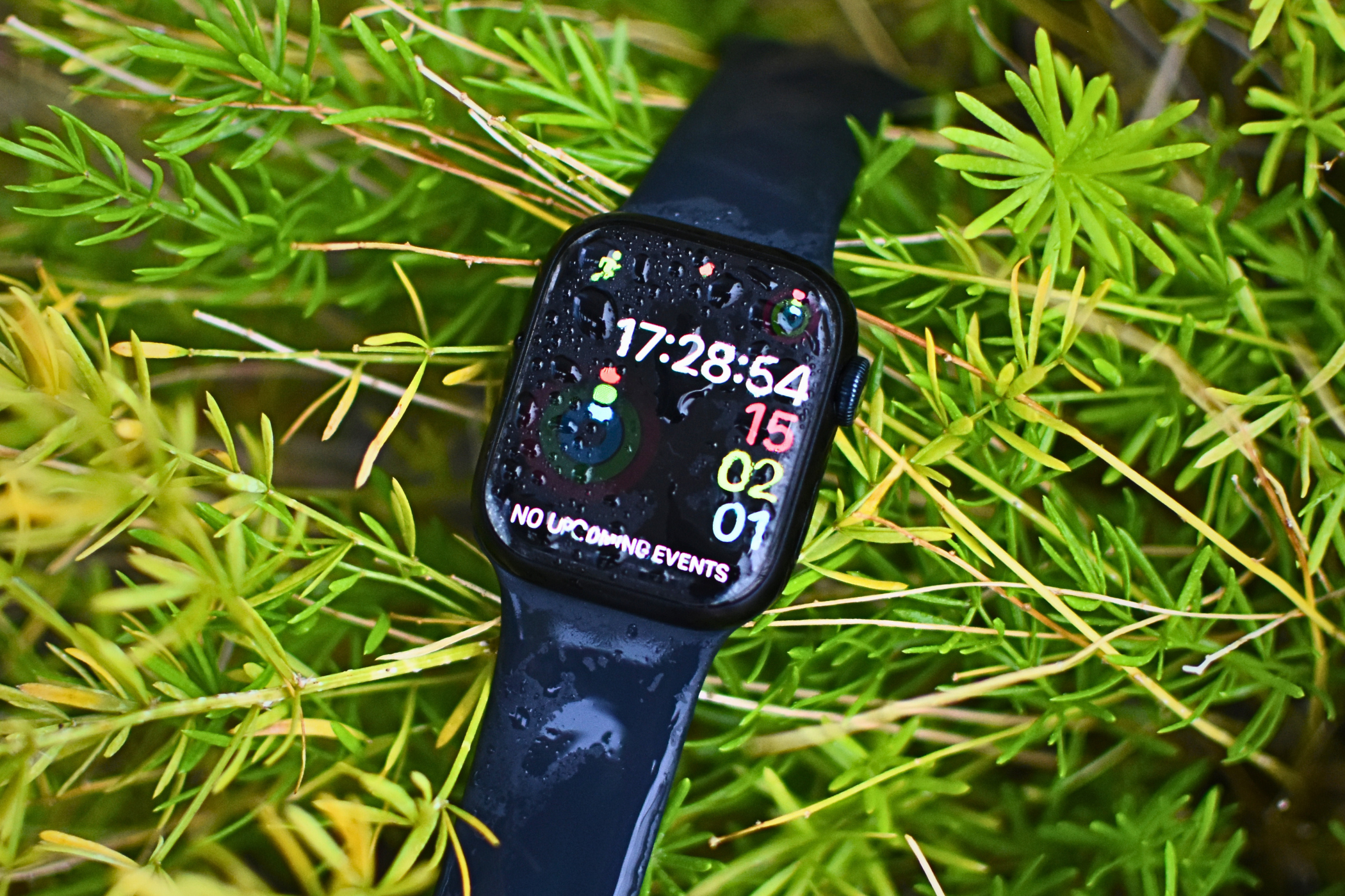 Apple Watch Series 8 on a leafy plant with water droplets on the screen.
