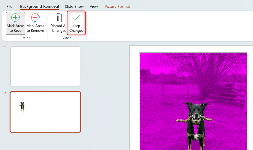A PowerPoint slide containing an image of a dog and the background of the image completely in translucent purple, indicating it will be removed. The Keep Changes icon is highlighted.