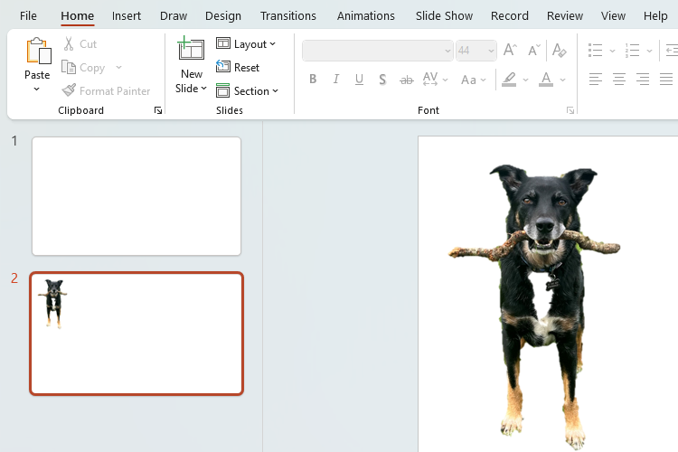 A PowerPoint slide with an image of a dog. The image has no background.