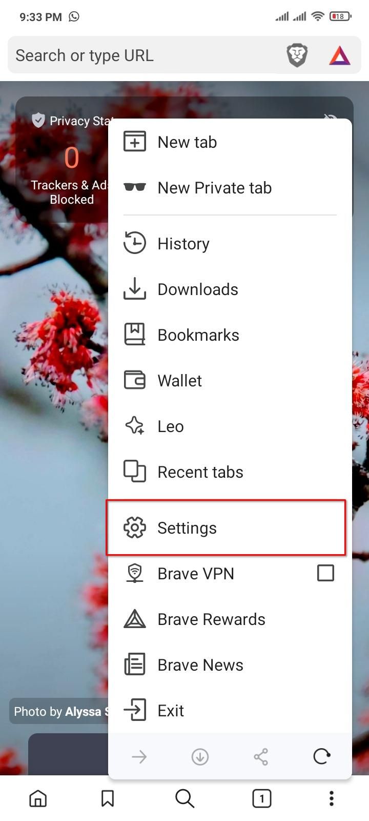 Opening settings on Brave in Android.