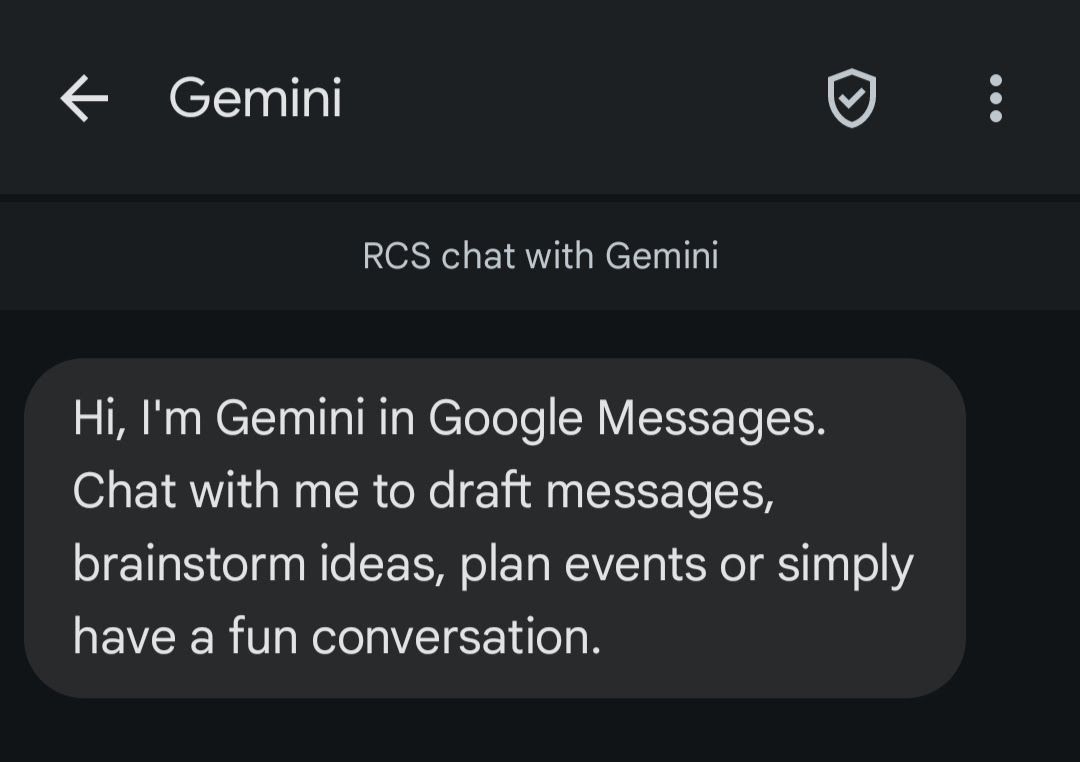 Screenshot of Gemini's initial text