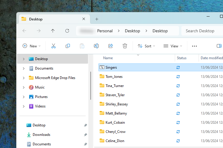 Singers' individual folders in the Windows Explorer Desktop folder.