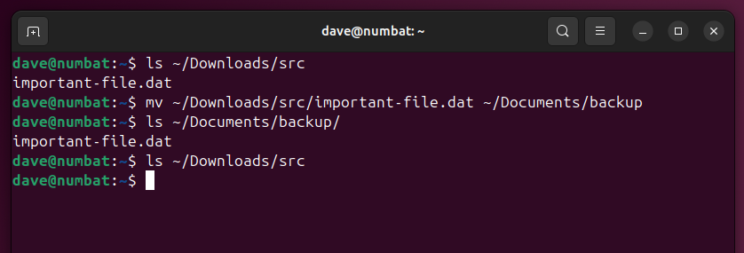 Moving a file with the mv command