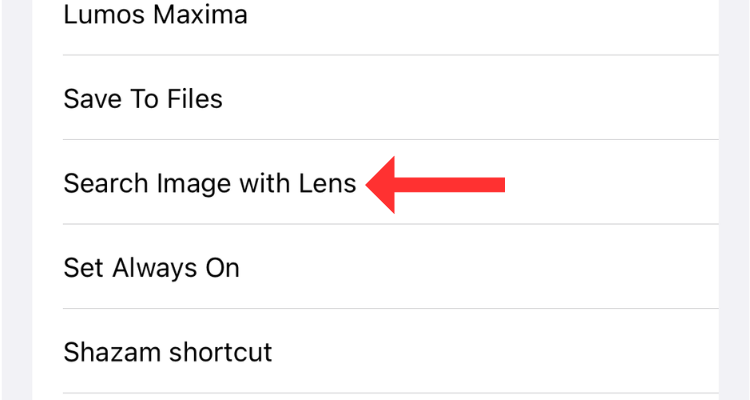 Search Image with Lens in iPhone's Back Tap menu.