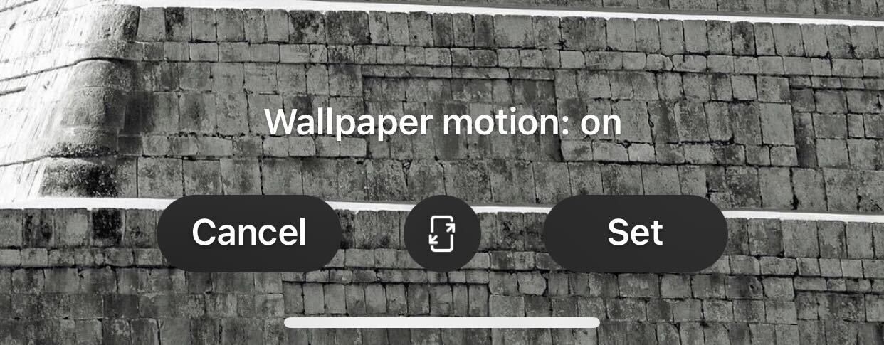 Selecting a custom chat wallpaper for a contact in WhatsApp on iPhone.