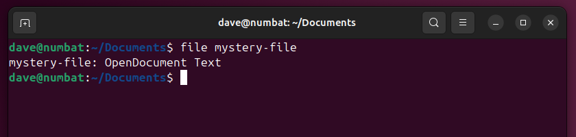 Using the Linux file command to identify a file type.