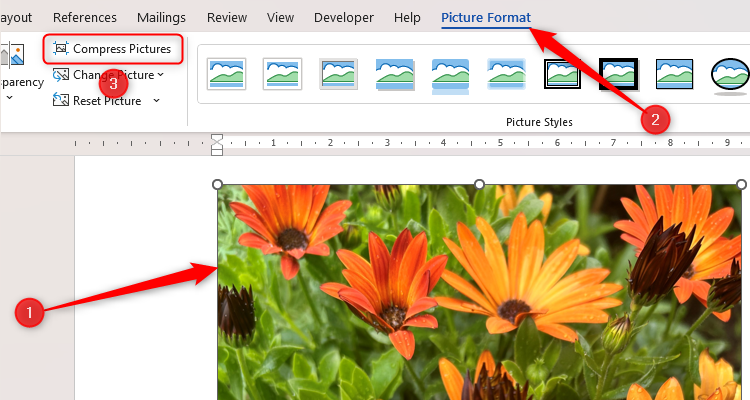 An image in Microsoft Word is selected, and the Compress Pictures button in the Picture Format tab is highlighted.