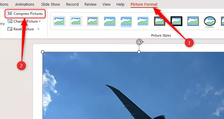 An image in PPT with the Compress Picture option in the Picture Format tab selected.