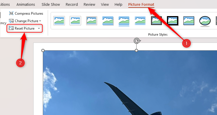 An image in PPT with the Reset Picture option in the Picture Format tab selected.
