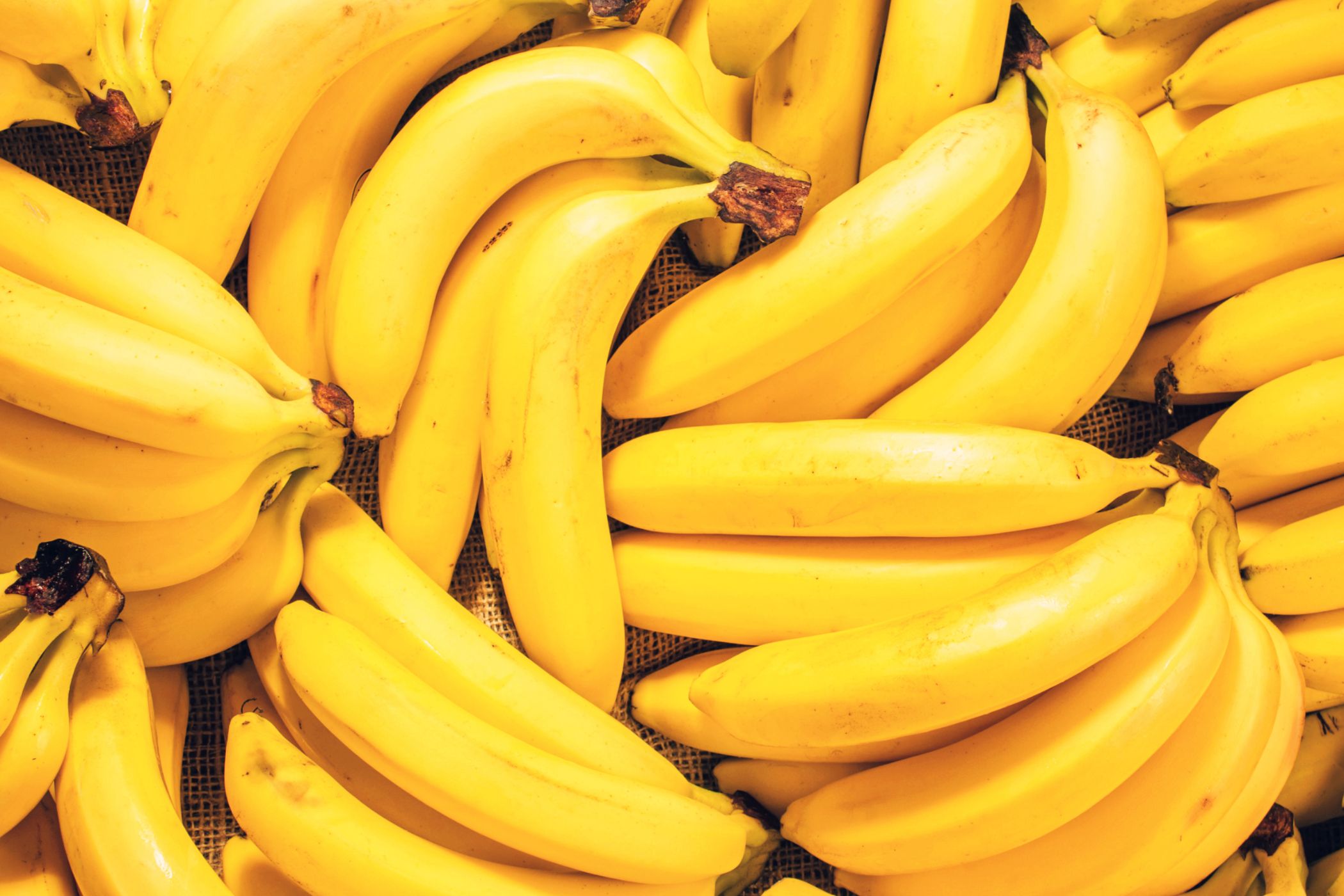 Banana Craze Boosts Value to $100+ per Item in Digital Trading Spotlight on Steam