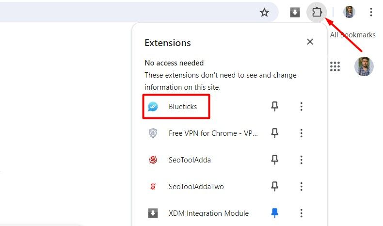 Extensions icon in Chrome.
