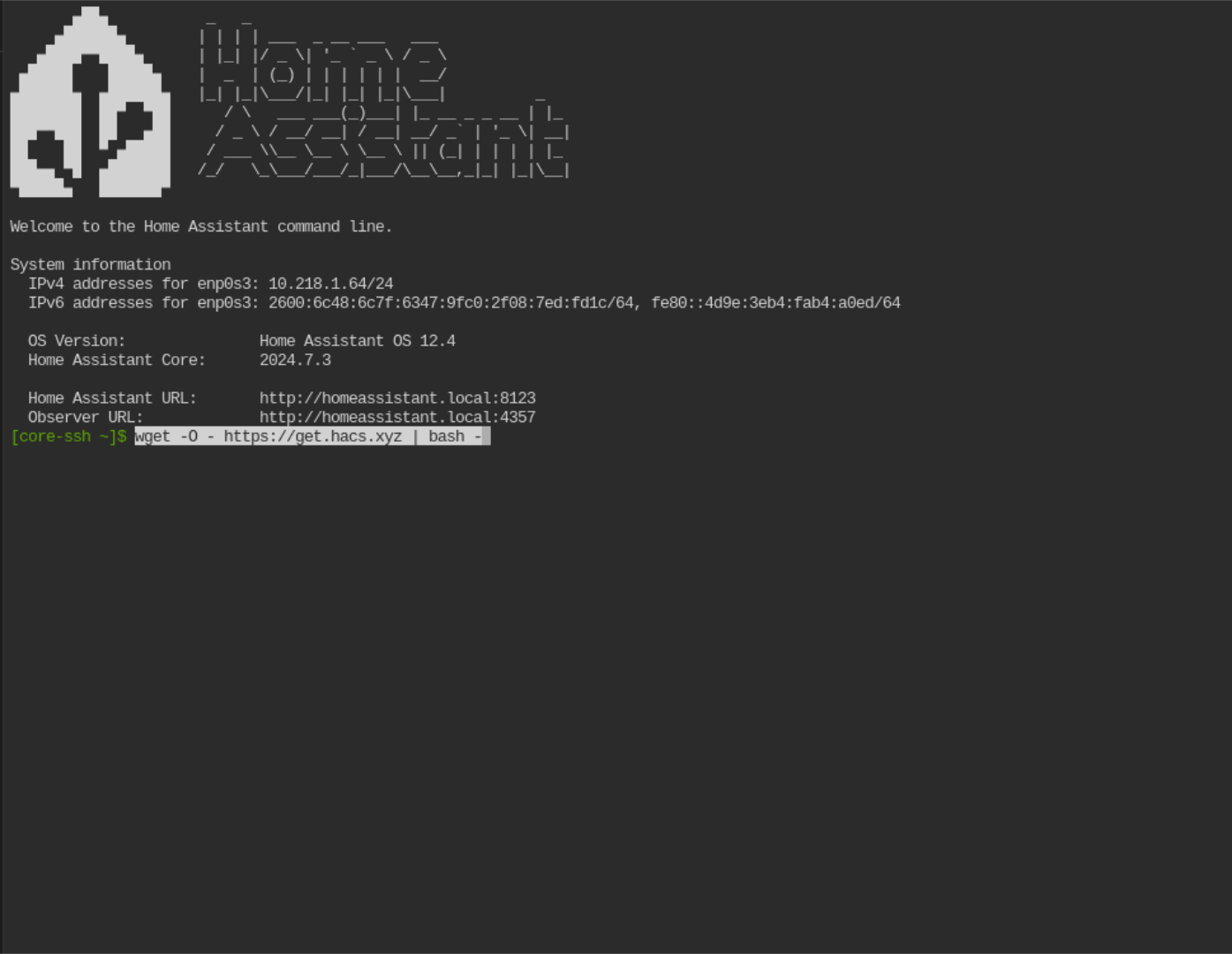 Home Assistant terminal.