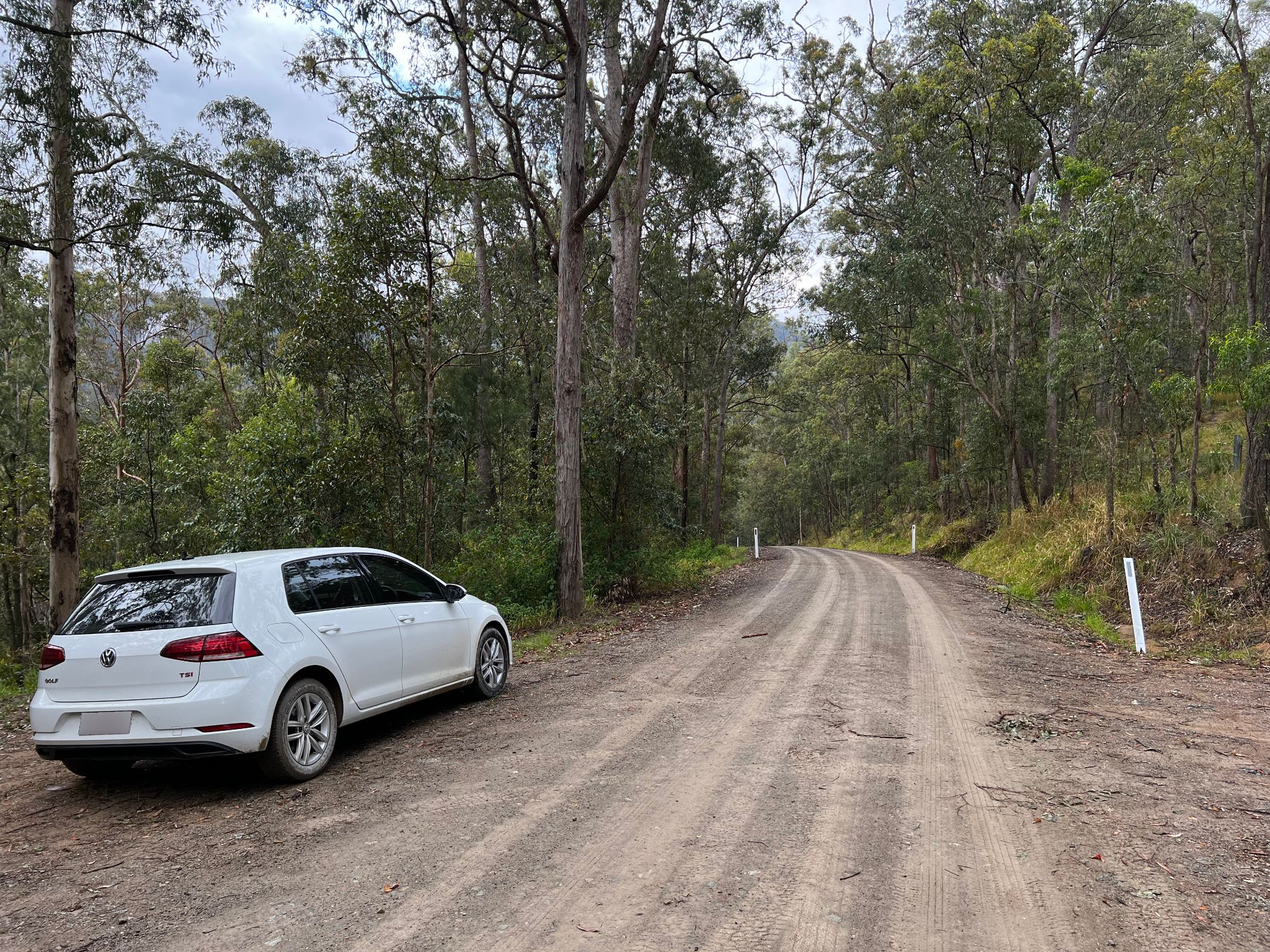 An unsealed rural Australian road.