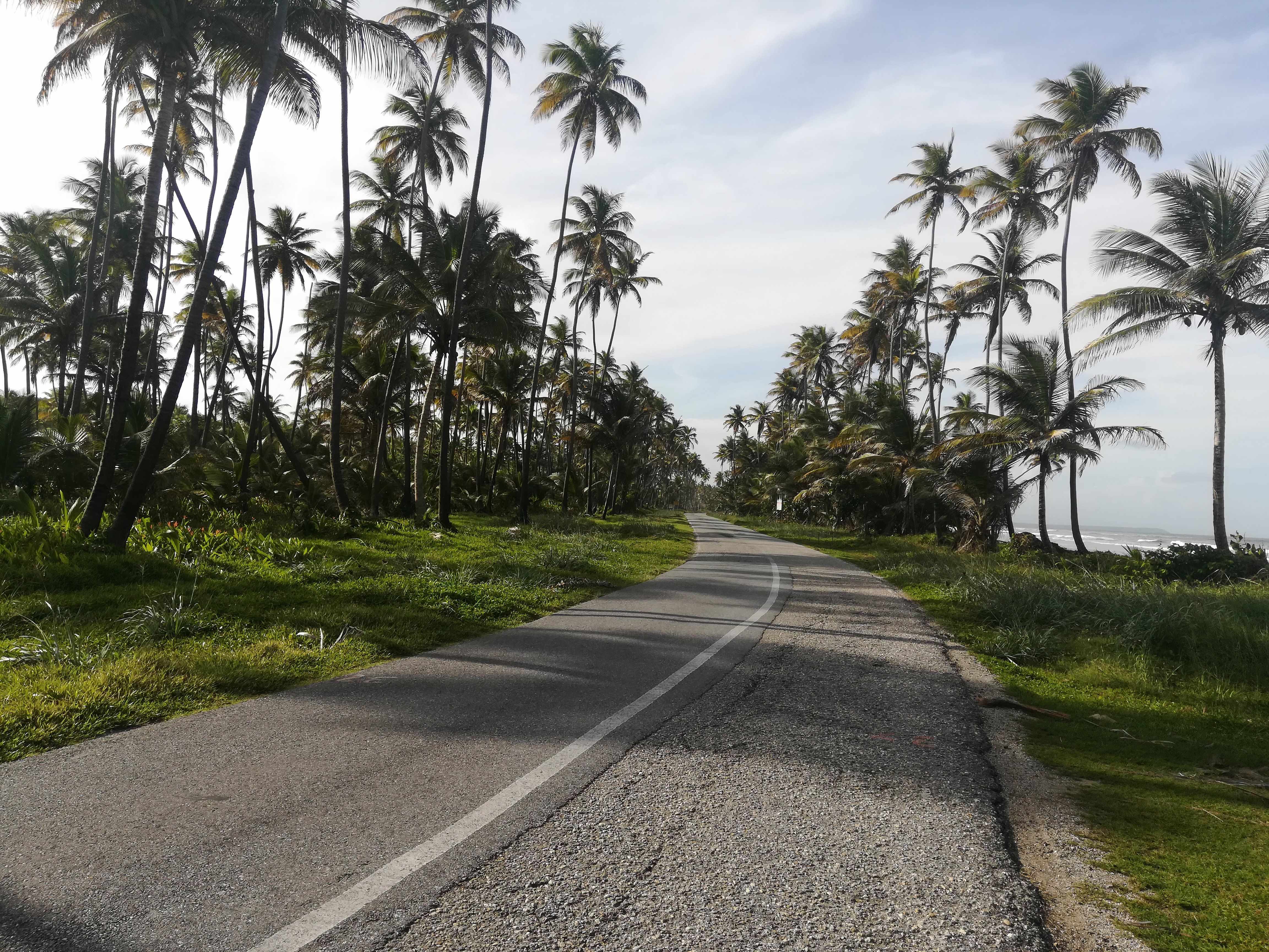 Manzanilla Road, Trinidad.