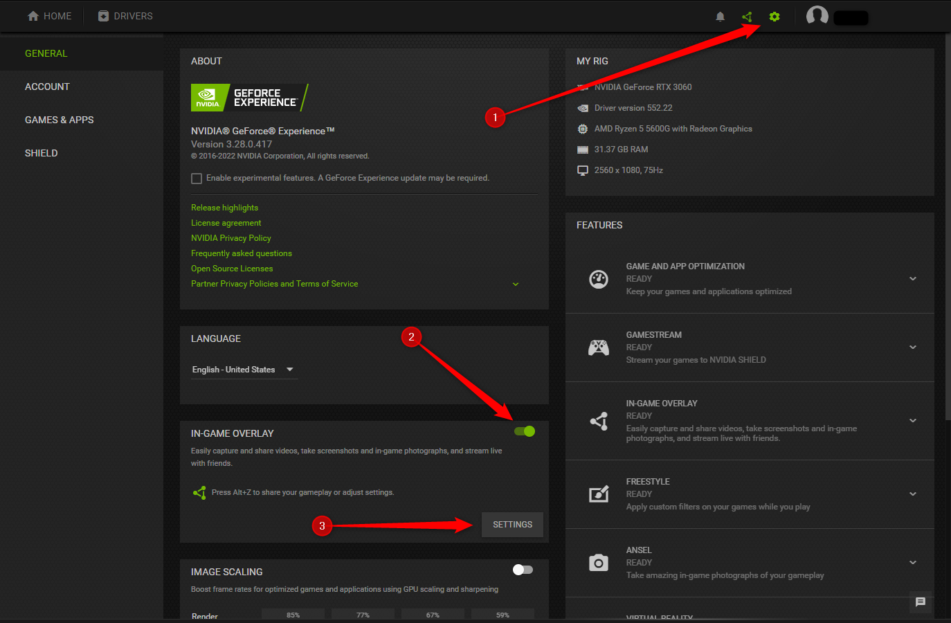 NVIDIA GeForce app with the settings opened and In-Game Overlay option selected.