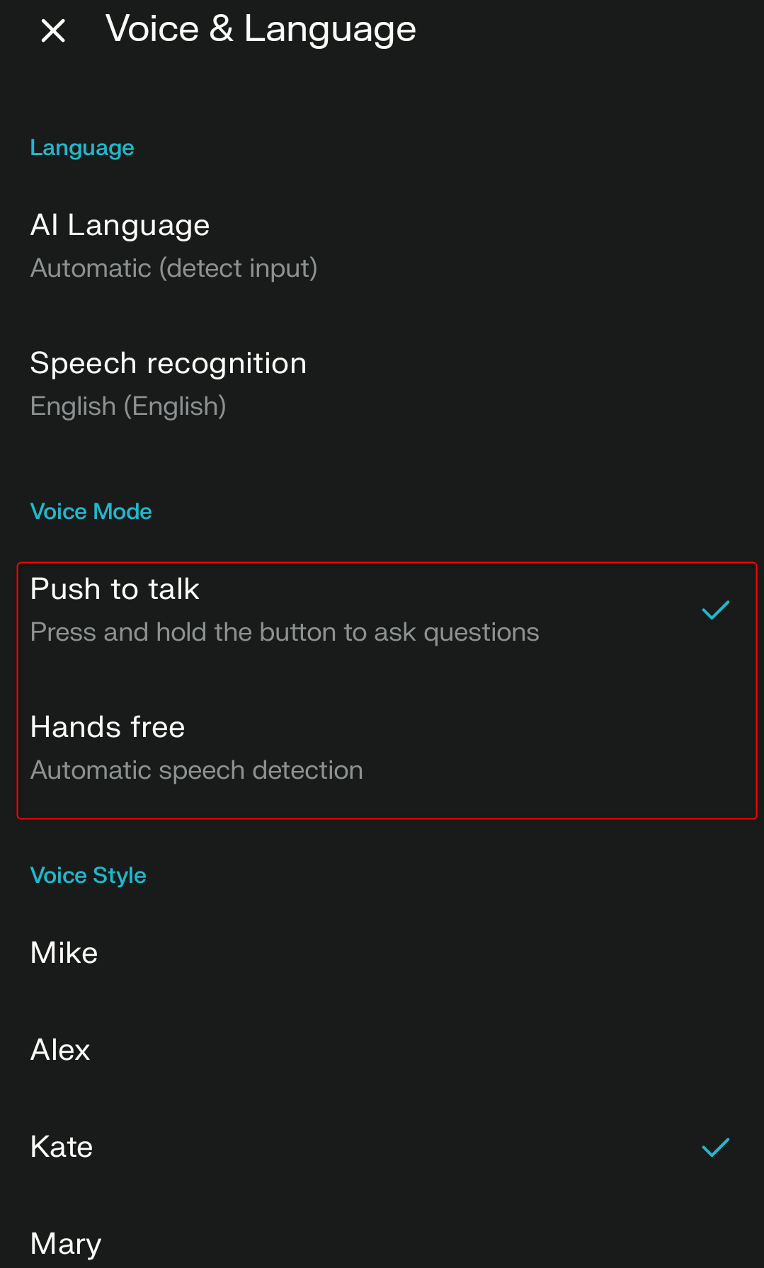 Perplexity Voice Chat Settings Page